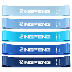 5pcs Resistance Loop Bands Set - Fitness Elastic Bands for Working Out Yoga