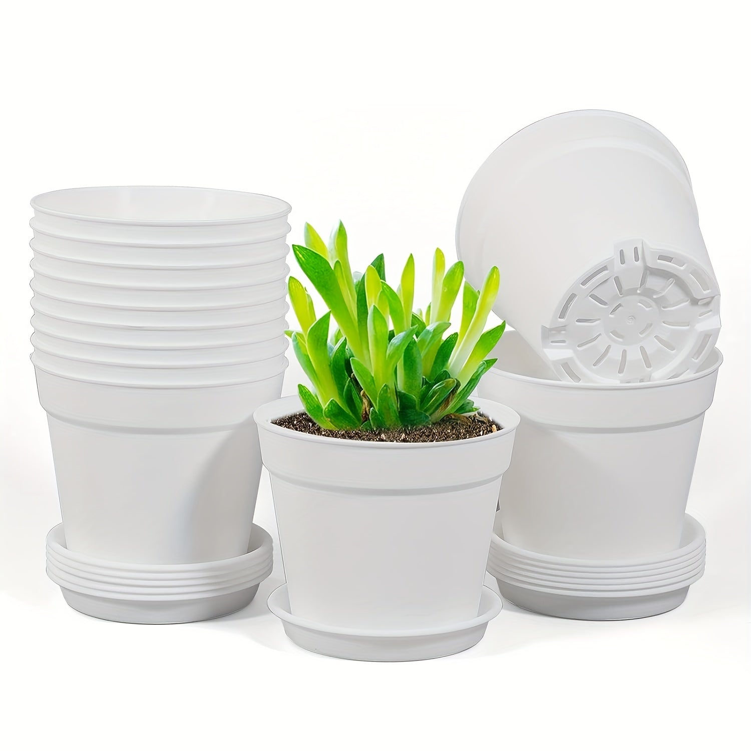 Small Plastic Plant Pots with Saucers for Flowers Succulents Seed Start