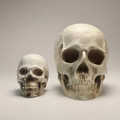 1pc Resin Skull Model Collectible Halloween Ornaments Skull Head