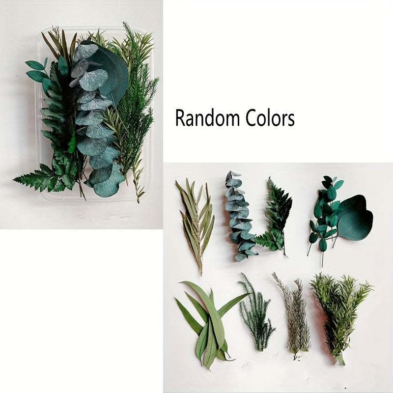 Real Dried Flower Resin Mold Fillings UV Epoxy Jewelry Craft DIY Supplies