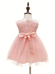 Baby Girls Floral Embroidered Princess Dress