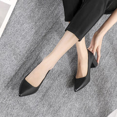Women's Pointed Toe Court Pumps Slip On Office Heels