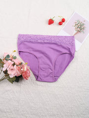 6 Pack Plus Size Lace Mid Rise Stretch Briefs