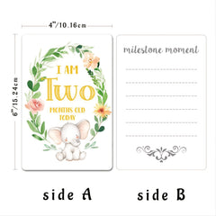 12pcs Newborn Month Sticker Cards - Perfect Baby Shower Gift