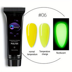 15ml Temperature Sensitive Nail Extension Gel Kit with Tips