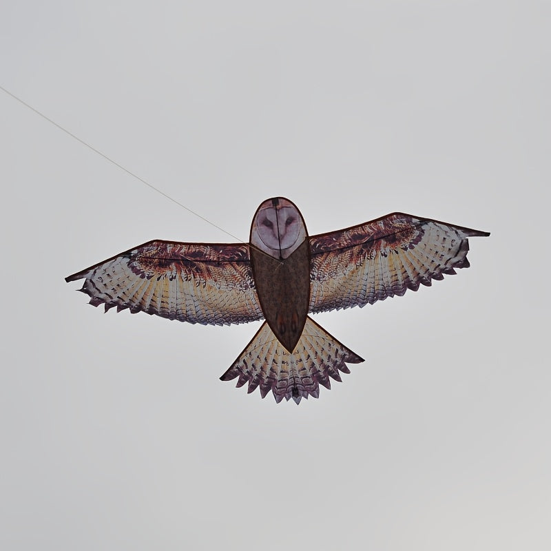 Brown Owl Kite With D handle And Flying Lines