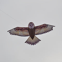 Brown Owl Kite With D handle And Flying Lines