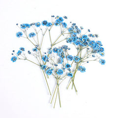 10 Pcs Natural Gypsophila Bouquet for Decor & Photography