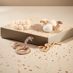 Snake Growth Cycle Sensory Toy with Habitat