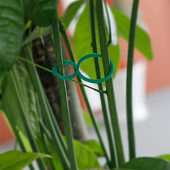 200 Tomato Clips for Plant Support in Garden Climbing Plants