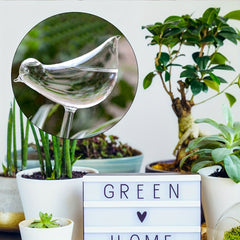 5pcs Self Watering Plant Watering Globes Automatic Flower Watering