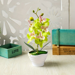 Orchid Bonsai with Pot Simulation Flower for Home Decor