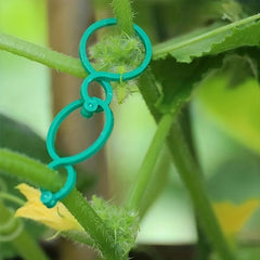 100pcs Plant Clips for Climbing Plants Garden Clips Plant Support Clips