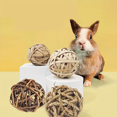 Safe Chew Toys for Small Animals - Hamsters, Guinea Pigs, Chinchillas