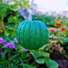 Fruit Shaped Sticky Fly Trap for Garden Mosquitoes, Insects & Flies