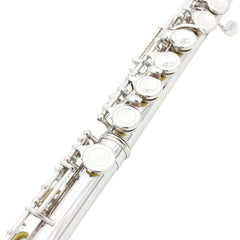 16 Hole Nickel Plated Flute C Blending with Cleaning Kit