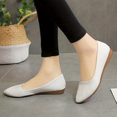 Pointed Toe Ballet Flats Soft Sole Non Slip Shoes