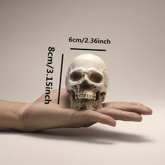 1pc Resin Skull Model Collectible Halloween Ornaments Skull Head