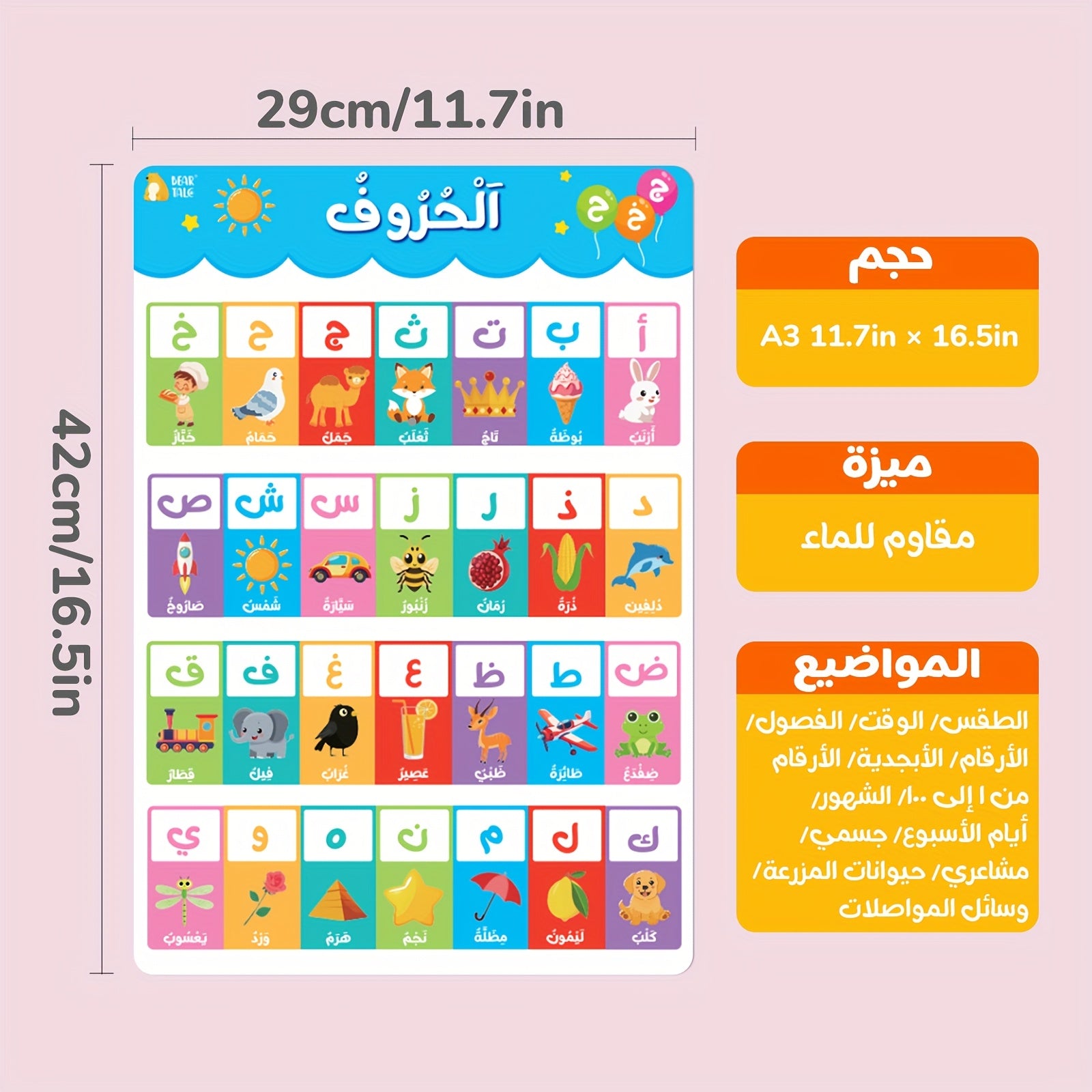12 Large Paper Arabic Cards for Children Study Room Decorations