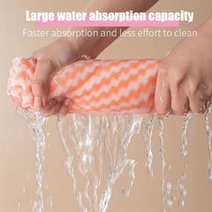 Microfiber Dish Towels Coral Fleece Cloths Random Pack