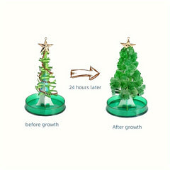 Paper Christmas Tree Blooming Crystallization Experiment