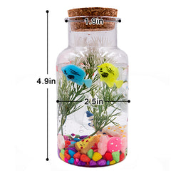3 in 1 DIY Terrarium Kit Create Your Own Mini Garden with Bottles Rocks Decor