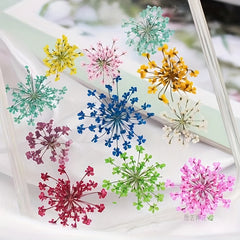 20pcs Natural Snowflake Dry Flower Embossing DIY Decorations