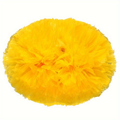 2pcs Cheering Poms Cheerer Pom Poms Dancing Supplies