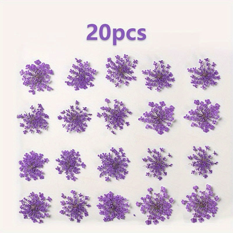 20pcs Natural Snowflake Dry Flower Embossing DIY Decorations