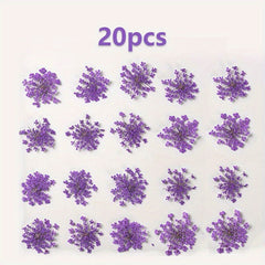 20pcs Natural Snowflake Dry Flower Embossing DIY Decorations