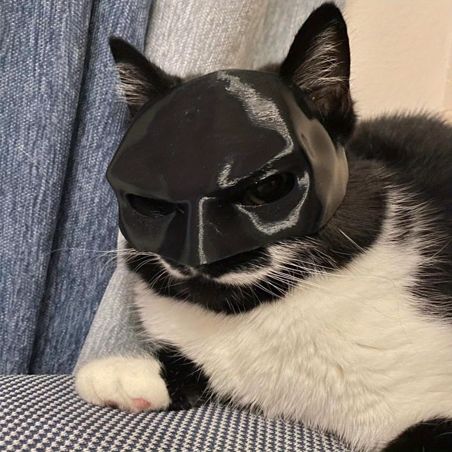 3D Printed Cat Mask Superhero Costume Fun Pet Prop for Cosplay Photoshoots