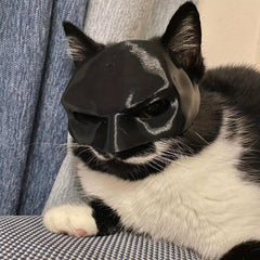 3D Printed Cat Mask Superhero Costume Fun Pet Prop for Cosplay Photoshoots
