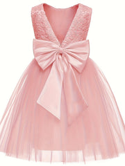 Flower Girls' Evening Dress Tutu Ball Gown