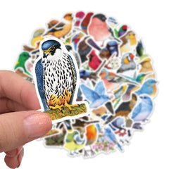 50 Colorful Bird Stickers Scrapbook Laptop Luggage Gift Stickers