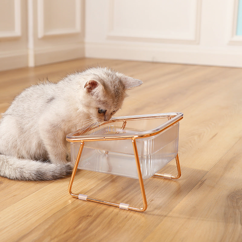 Transparent Double Cat Bowl for Easy Feeding and Hydration