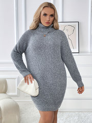  Solid Long Sleeve Turtle Neck Sweater Dress