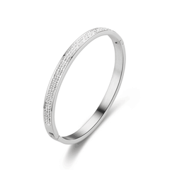 Inlaid Diamond Stainless Steel Unisex Bangle Bracelet