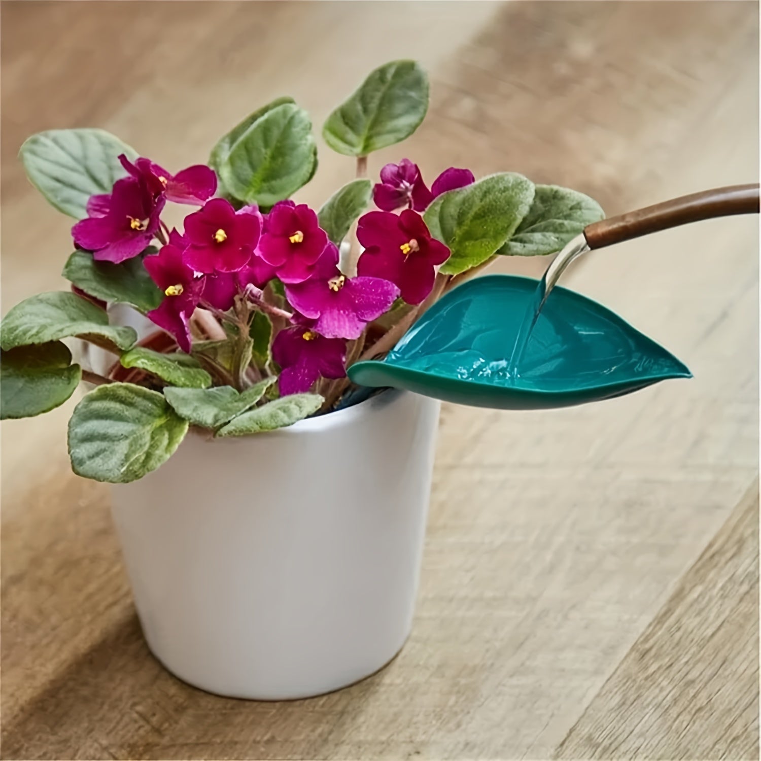 3pcs Plant Water Funnel House Plant Waterer