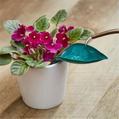 3pcs Plant Water Funnel House Plant Waterer