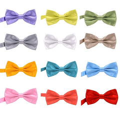 Casual Adult Polyester Silk Multicolor Bow Tie