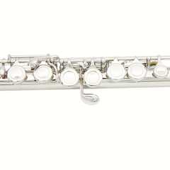 16 Hole Nickel Plated Flute C Blending with Cleaning Kit