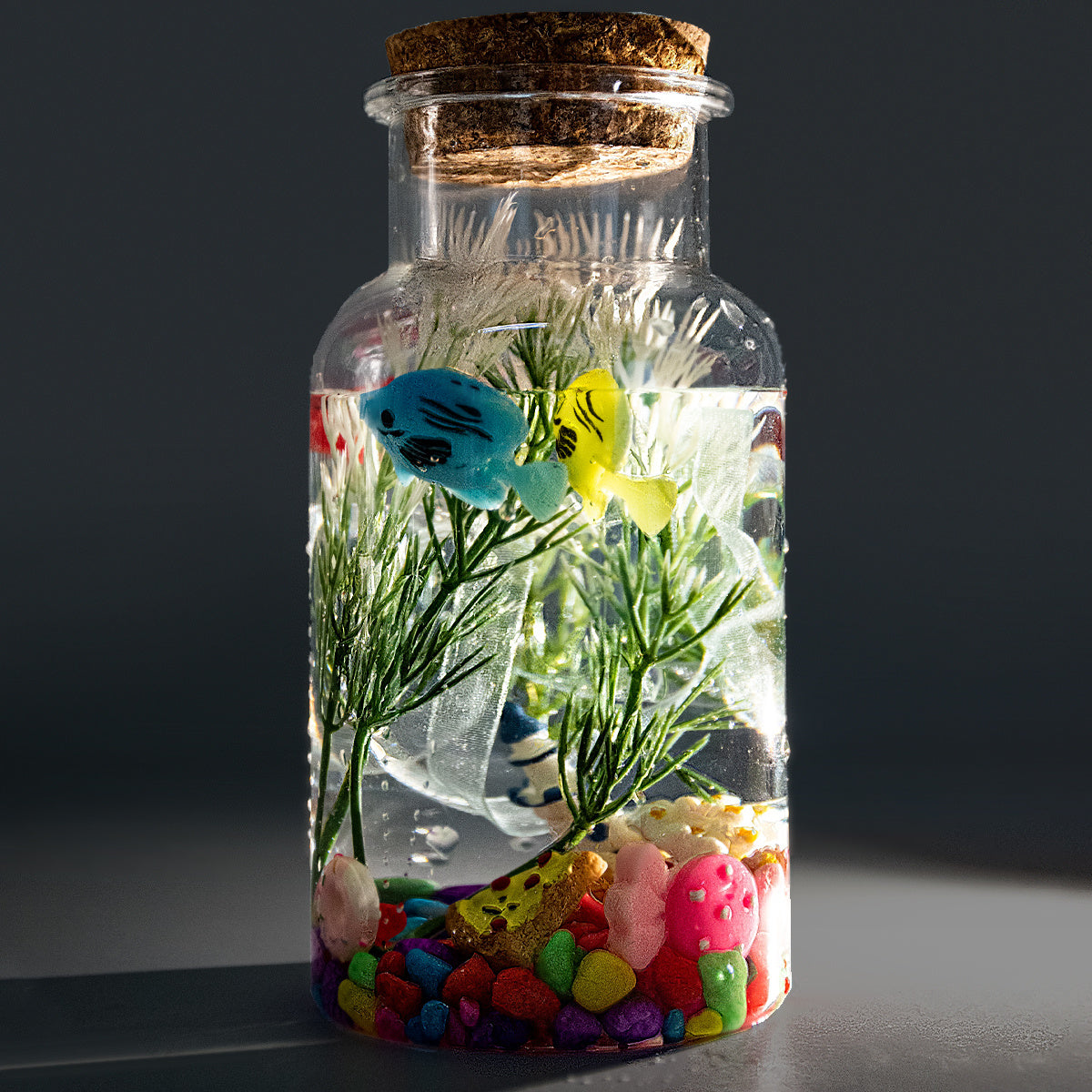 3 in 1 DIY Terrarium Kit Create Your Own Mini Garden with Bottles Rocks Decor