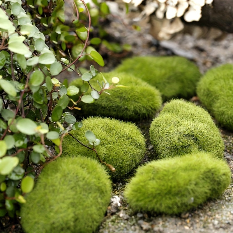 1Pc Fairy Garden Stone Moss Micro Landscape Bonsai DIY Decor Ornament