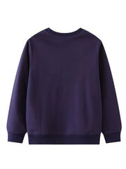 Boys Luminous Dinosaur Sweatshirt Crew Neck Pullover