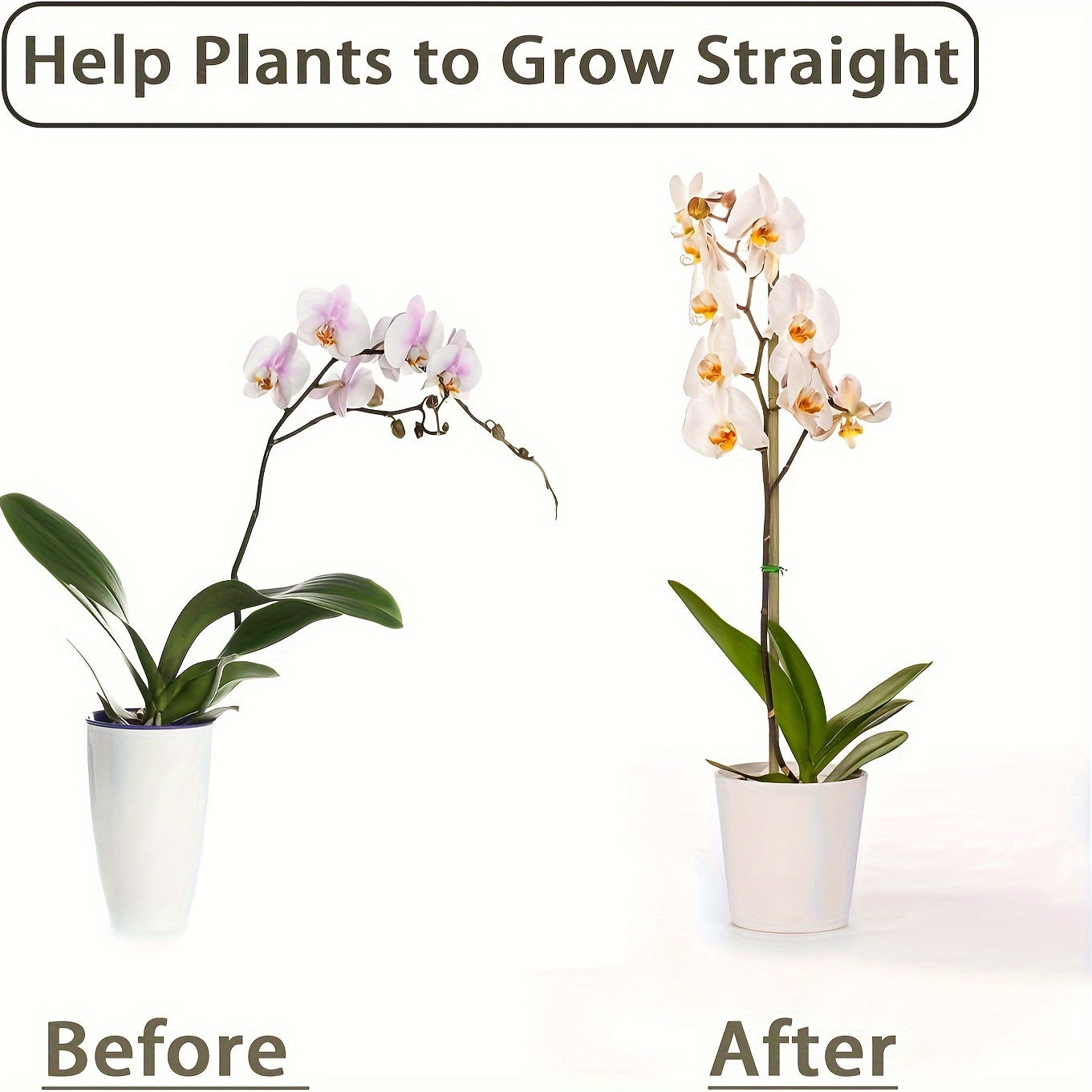 10pcs Bamboo Plant Stakes Outdoor Indoor Garden Support Stakes