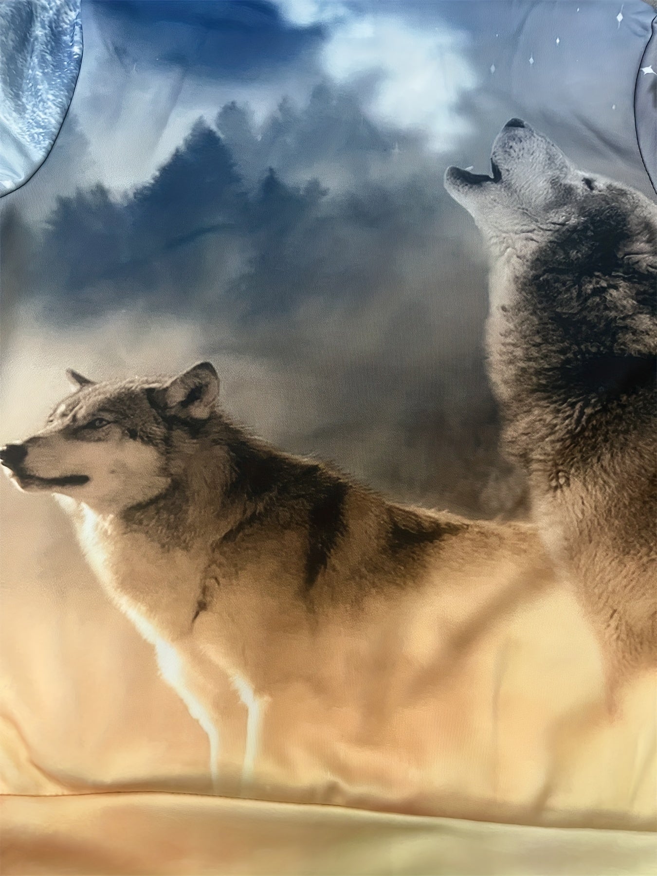 Boy's Howling Wolf Graphic Hoodie Casual 3D Print Hooded Sweatshirt