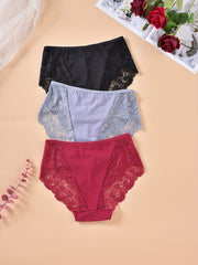 3pk Plus Size Floral Lace Stretchy Panties Set