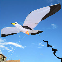 3D Seagull Kite Weifang Kite 55in