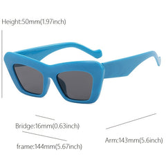 Cat Eye Wide Temple Sunglasses Triangle Glasses Hip Hop Sunglasses