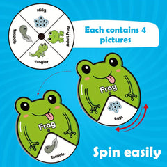 Kids Felt Lifecycle Toys - Educational Tools for ECD